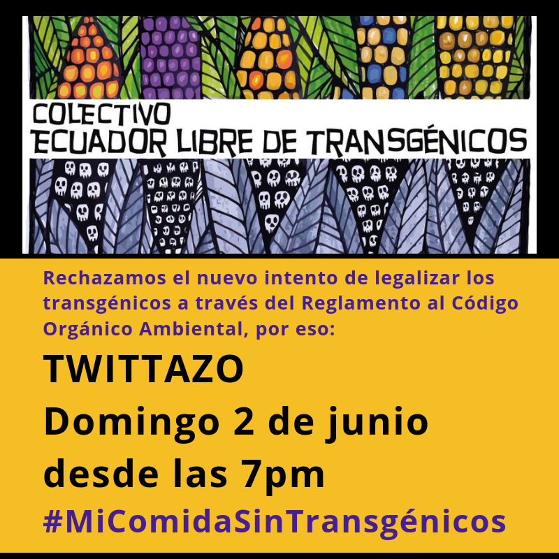 OCARUEc's tweet photo. #EcuadorLibreDeTransgénicos 
#MiComidaSinTransgénicos https://t.co/wvTn8oF2hc
