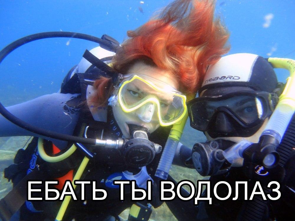 Прикольные картинки про аквалангистов, хай картинки