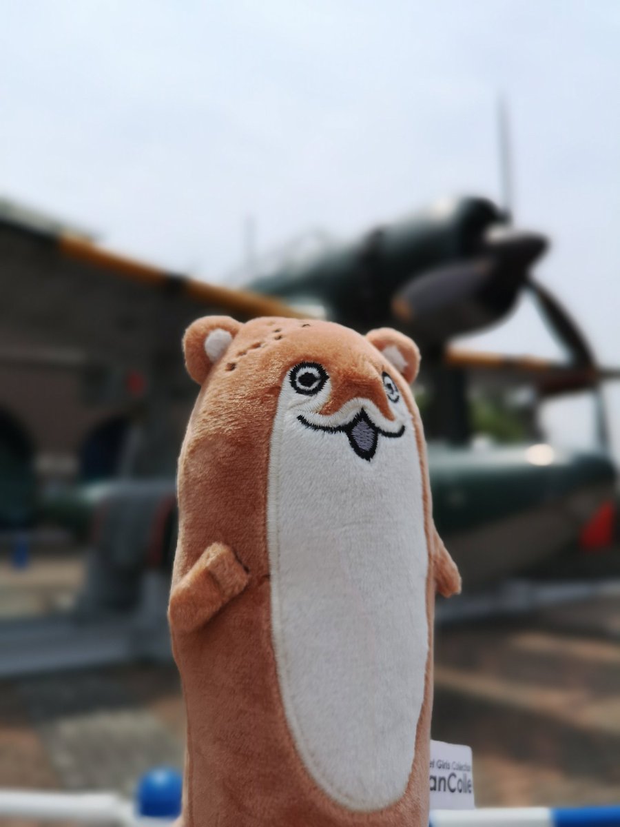 鹿島 ボクぐるみ買えました あぁぁぁぁかわいい キモかわいいかわいいぃぃぃ バランス悪いから自立出来ないかわいい