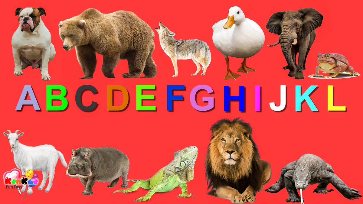 KenkaeF's tweet photo. Learn ABC Alphabets A to Z for Kids - Learn Wild Animals Names &amp; Sounds For Children. Watch here: https://t.co/3oTjlwzXYH

#learnabc #abcalphabets #atoz #kids #children #wildanimals #learnanimals #animalnames #animalssounds #toddlers #babies #nurseryrhymes https://t.co/frC8zrjzVq
