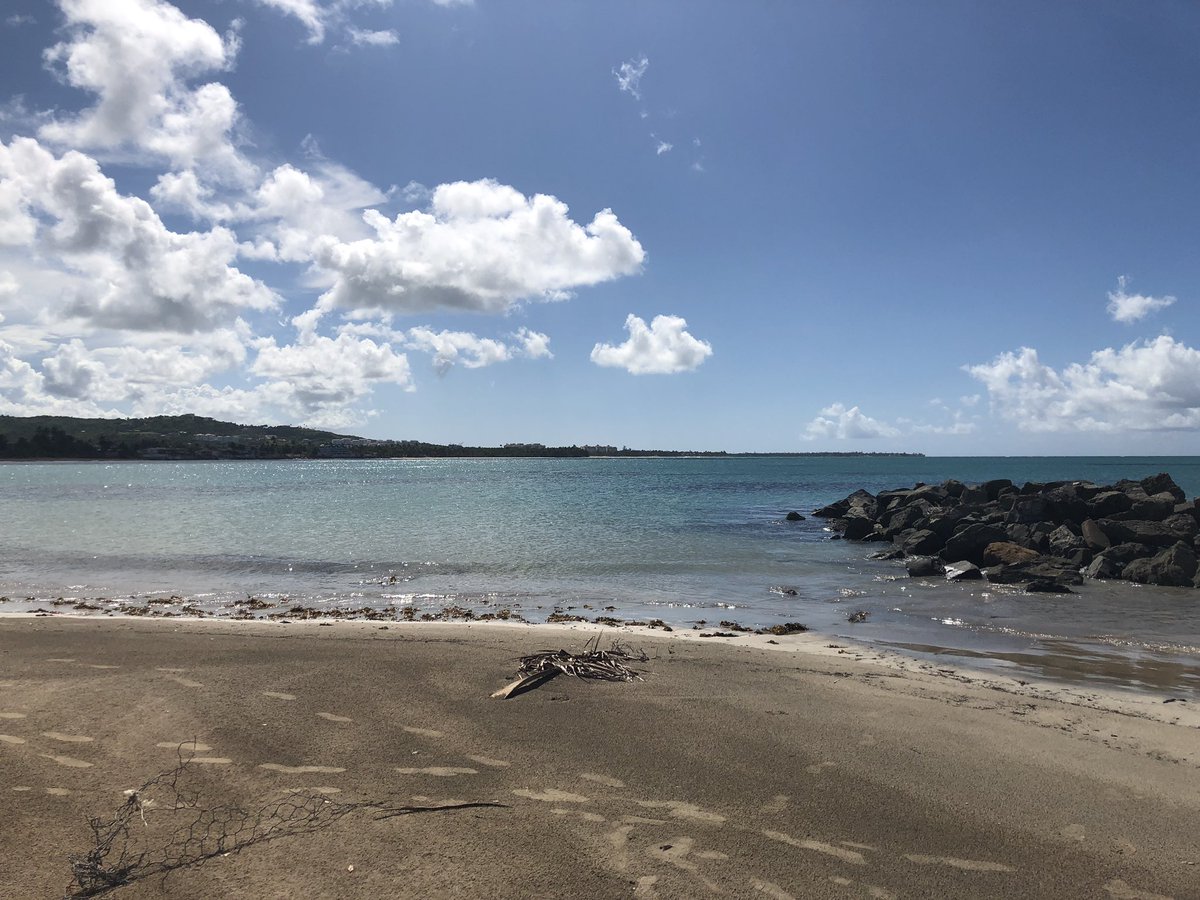 IvyM22_'s tweet photo. Impromptu lunch stop led to a quick stroll through the beach.
#puertorico #momlife #visitpuertorico #loskioskosdeluquillo #concalma #calma #chillax #beachesofpuertorico https://t.co/GqHMs9ZSjy