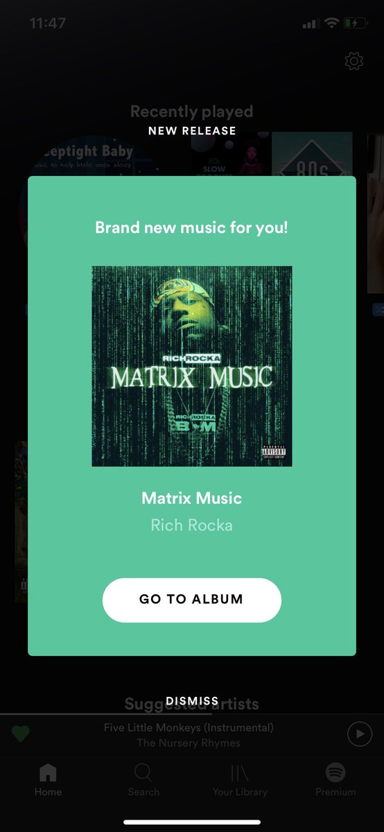Only1Hotsana's tweet photo. New music #MatrixMusic @REALRICHROCKA @spotify https://t.co/Jh73vWf0ho