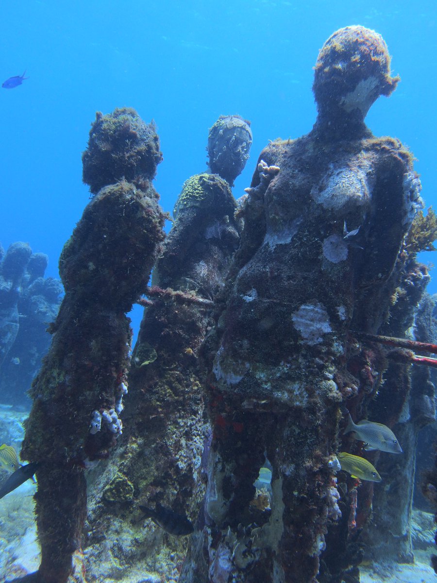 海底美術館 海底美術館
