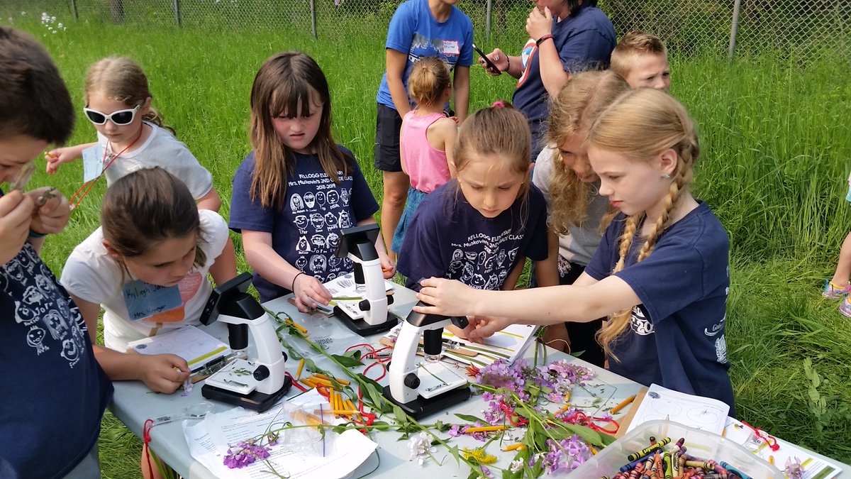 mazettlemoyer's tweet photo. Learning all about #botanists and why native plants are important for making #cereal today @KelloggBirdSanc @KelloggBioStn #kbsk12 #outreach #futureecologists https://t.co/3mAGHtJO1y