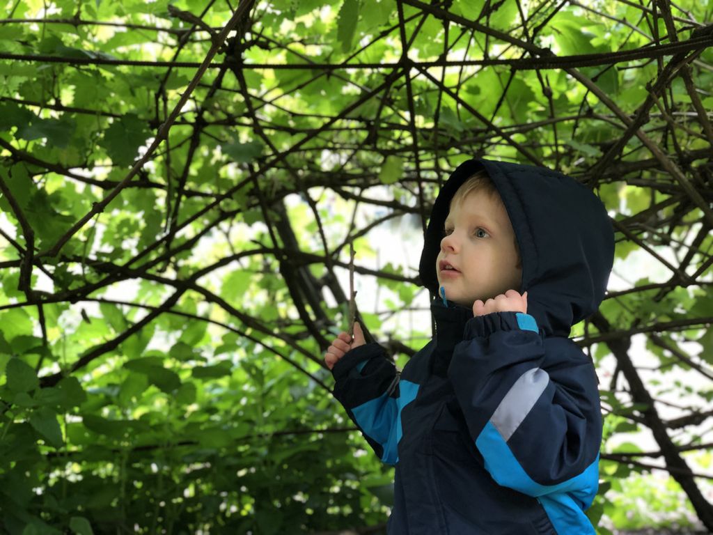 HiddenVilla's tweet photo. There are many ways you can enjoy Hidden Villa during your visit. Maybe you want to sit by the creek for lunch, take a rest in the shade of our garden grape hut, and take a look at our farm animals! We will be closed for summer camp starting June 17th so please visit us soon! https://t.co/JNjAiRfpci