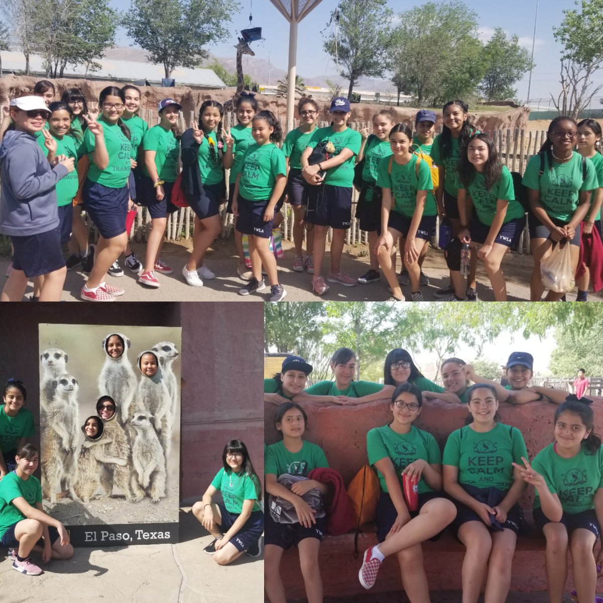 MelissaYvette89's tweet photo. So much fun at the zoo! #THEDISTRICT #ywla #6thgraders #future7thgraders #mirrorselfieattempt
@Ysleta_YWLA https://t.co/Hlckon6H42