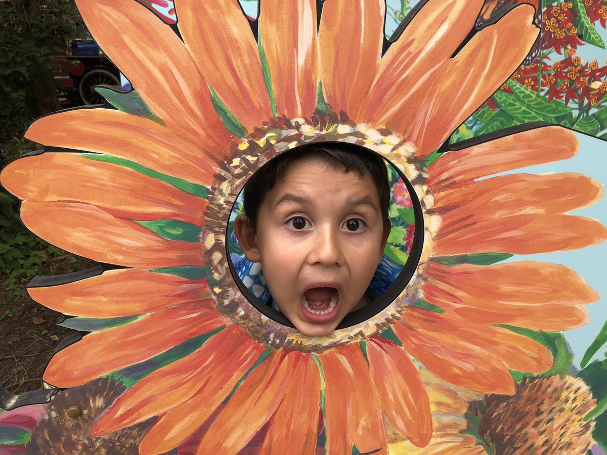 lisaflacke's tweet photo. Fun time @CincinnatiZoo today with this kiddo! #summerfun https://t.co/bMRNOHaOwe