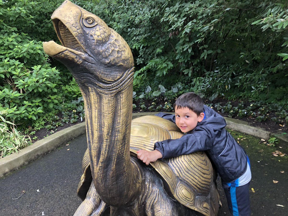 lisaflacke's tweet photo. Fun time @CincinnatiZoo today with this kiddo! #summerfun https://t.co/bMRNOHaOwe