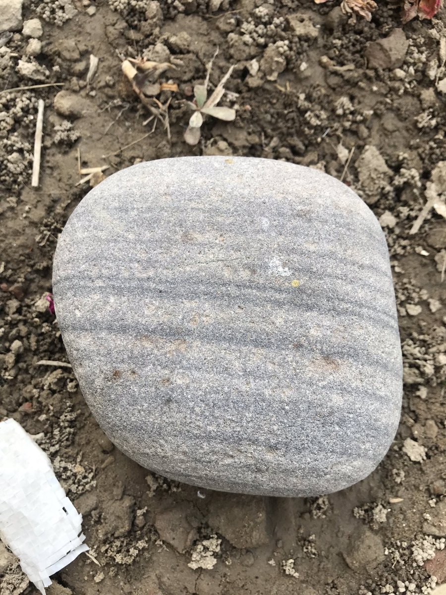 arun_k_pathak's tweet image. Shape up, seek in, carve out.
Wuthering heights.
#BeaStone