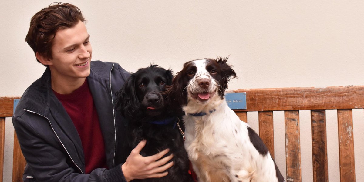 nicsm516's tweet image. fofo, gentil, doce, brincalhão, amoroso, carinhoso, atencioso, e um verdadeiro super herói na vida real. Algumas de muitas palavras para descrever uma das melhores pessoas que existe no mundo: Tom Holland

#HappyBDayTomHolland