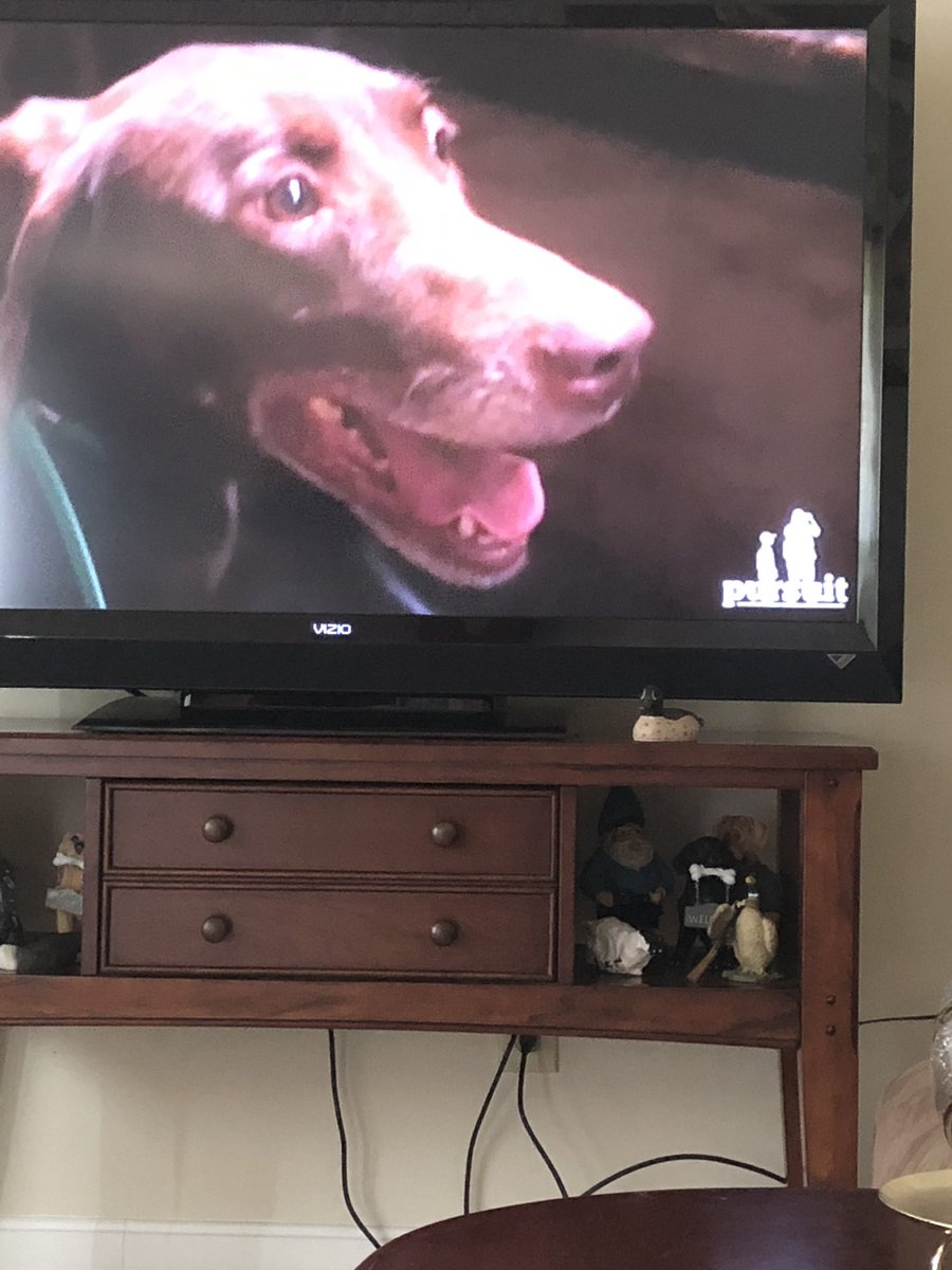 Mike Turner tweet media