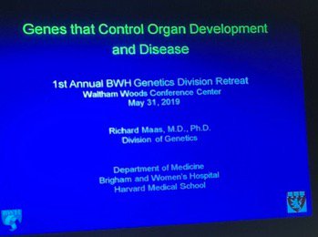 Ronglih Liao tweet media