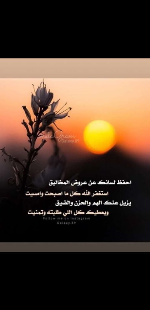 مشعل tweet media