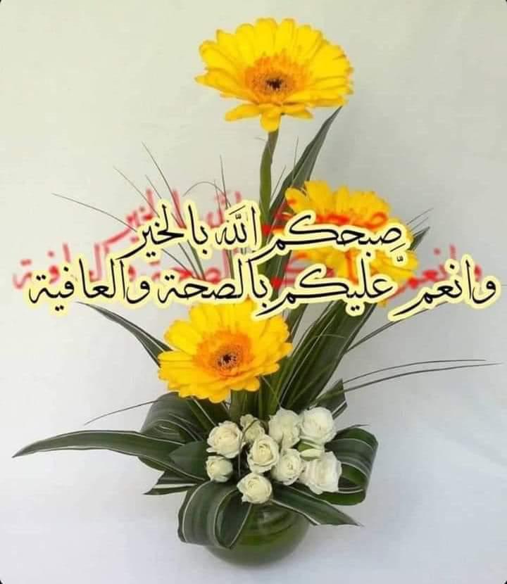 حلا (@hhala2551) on Twitter photo 