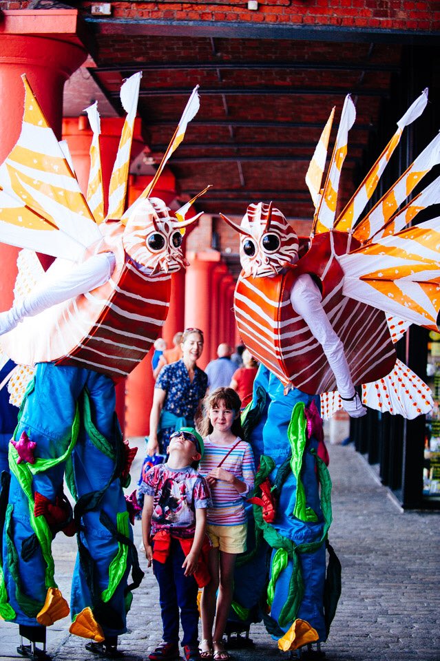 ArtemisProds's tweet photo. The Lion Fish will be out for a dip at Sea Bangor Festival Ireland this weekend. #martine #silts #sealife #bangor #familyentertainment https://t.co/VZvm8HtOuS
