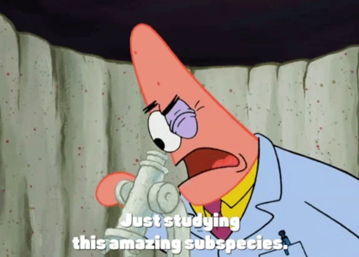 Lain على تويتر スポンジボブ 谷育子さんパトリック かぬか光明さんパトリック ついにどっちも天才化する回