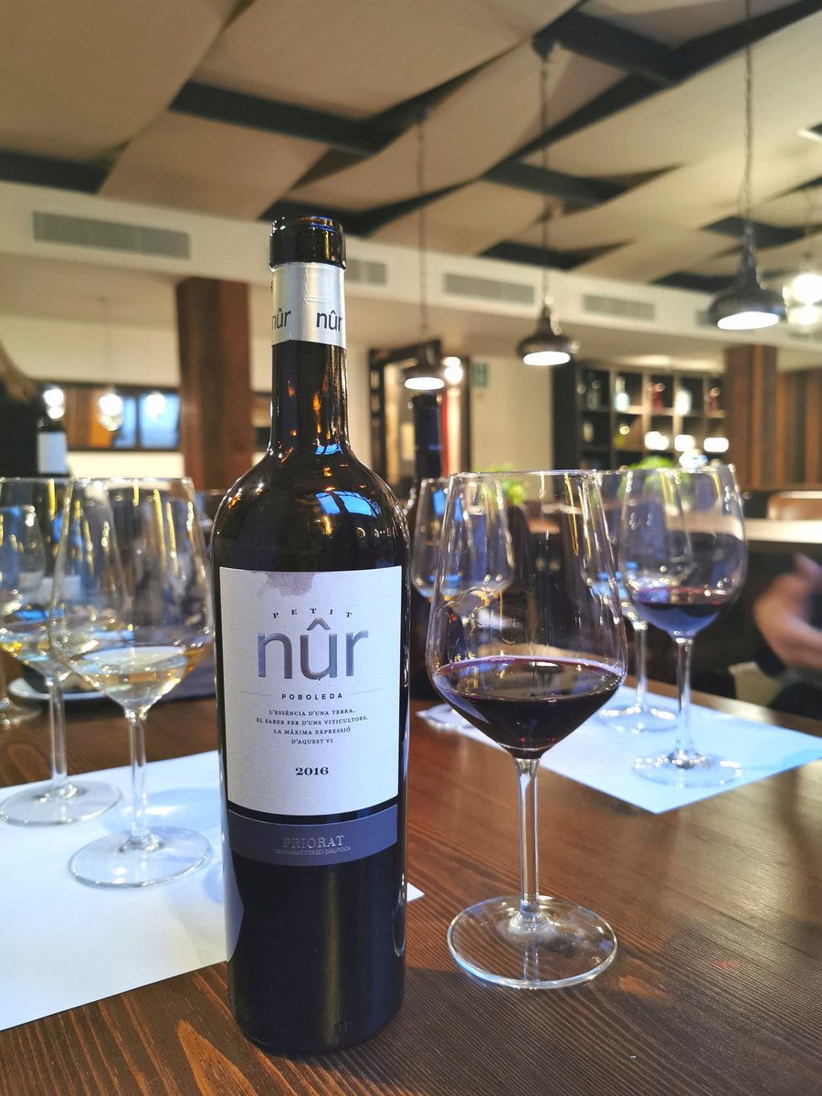 winewankers's tweet photo. Thanks @nandafrontado for the great tasting of #wine from #Catalonia at the @praktikhotels Vinoteca wine hotel in #Barcelona.  The star was the Petit Nur Priorat. This drop is 100% Carignan and a bargain at 14 Euro to take or drink at your leisure in the Vinoteca Hotel. @pietrosd https://t.co/pQMCaghahV