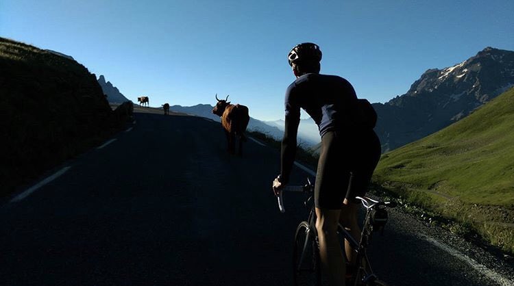 tomekmaz's tweet image. News dnia! Maciek Oczko, najlepszy polski trener wspinaczki, na moment zawiesił szpej na kołku i weźmie udział w wyścigu kolarskim na słynną górę Ventoux! Będzie boleć... 😉💪 #KoronaKraków #motionlab