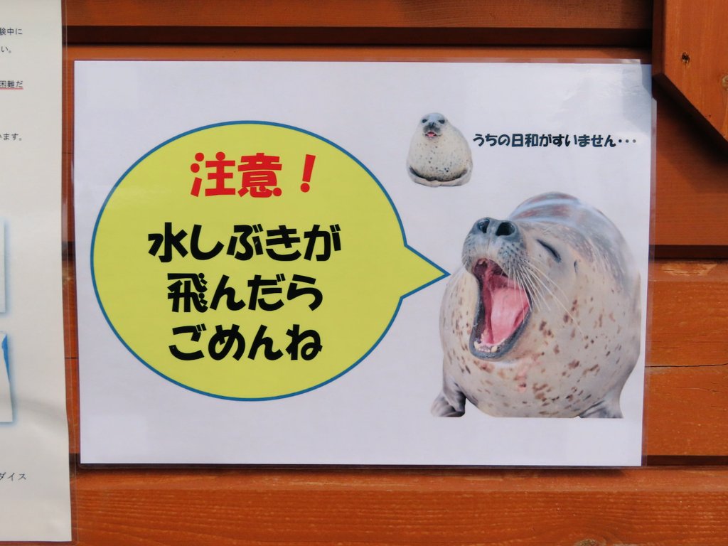 憧れのアザラシシーパラダイスに行ってきました😍エサあげたり触れたり飼育員さんみたいに指示出したりできて最の高だった…アザラシも飼育員さんもかしこすぎかわいすぎ… 