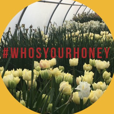 #NewProfilePic #StayTuned 
Launching our #honey &amp; #bees campaign.