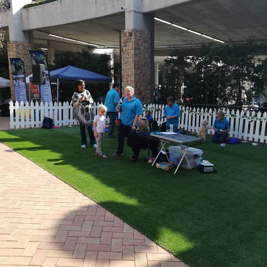 caninezonesa's tweet photo. Paws 4 You Therapy Dogs now in the arena! https://t.co/ZfWCgurUkK