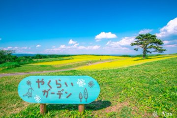 やくらいガーデン で四季の花々の絶景を レストランや観光の魅力は 旅行 お出かけの情報メディア