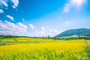 やくらいガーデン で四季の花々の絶景を レストランや観光の魅力は 旅行 お出かけの情報メディア