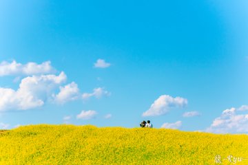 やくらいガーデン で四季の花々の絶景を レストランや観光の魅力は 旅行 お出かけの情報メディア