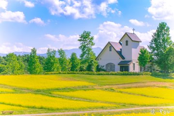 やくらいガーデン で四季の花々の絶景を レストランや観光の魅力は 旅行 お出かけの情報メディア