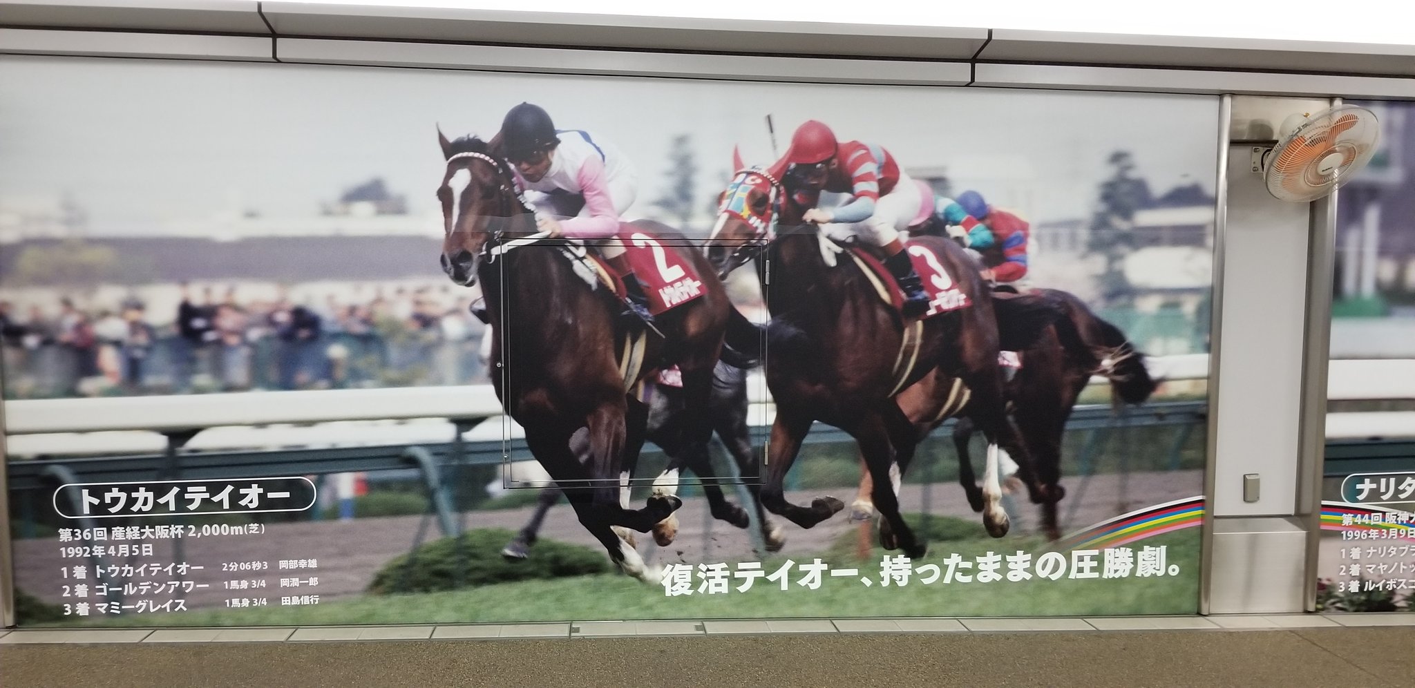 91 日本ダービー トウカイテイオー 単勝馬券 トウカイテイオー