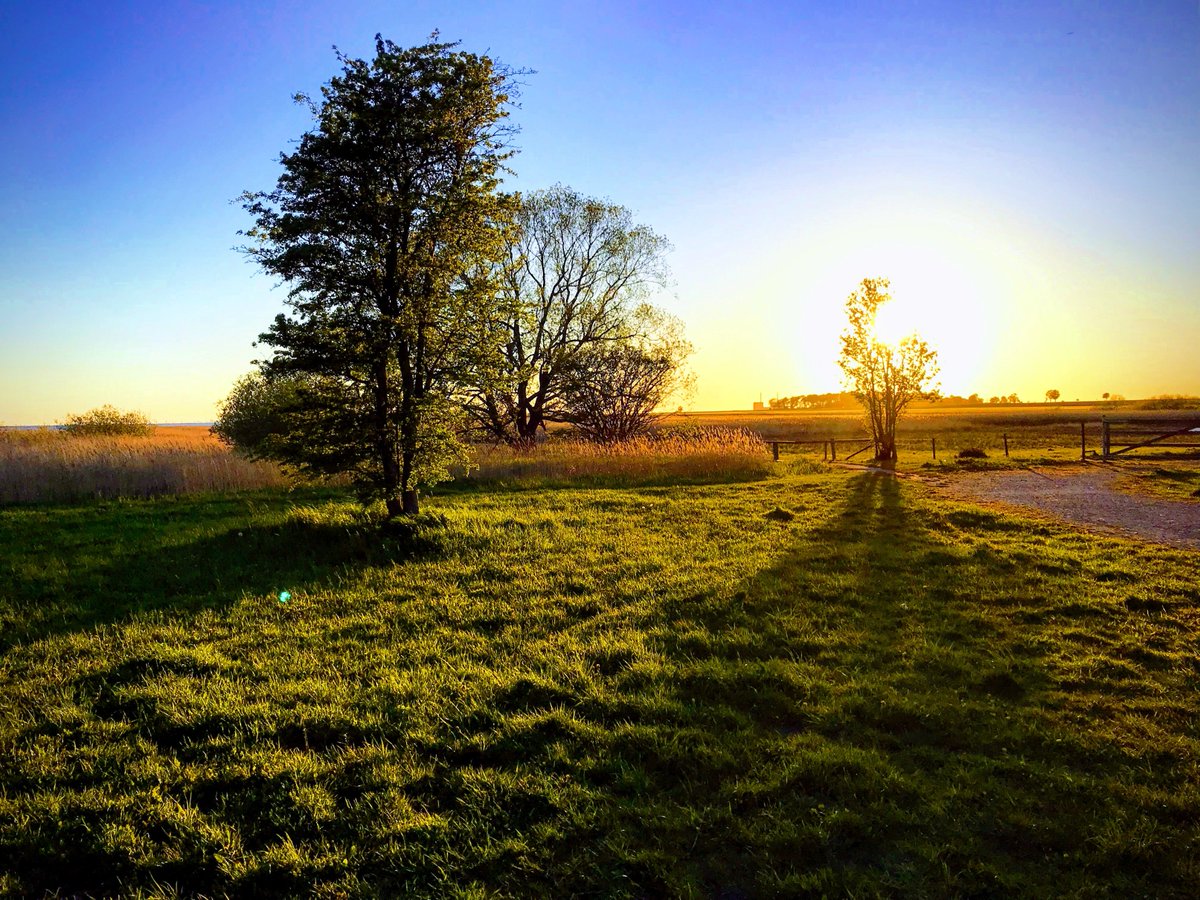 Februari till maj ger 434 kr till insamlingen <a href="/1krkm/">Insamlingen 1 kr/km</a> <a href="/Cancerfonden/">Cancerfonden</a>