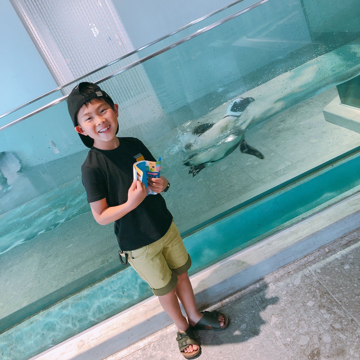 ニフレル 観覧 車