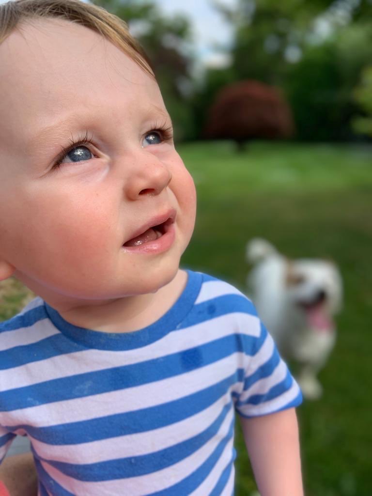 TonyKent_Writes's tweet photo. Happy Birthday, son!
He was a long time coming, but when he got here he was a good one!
How has it been a year!?!
And why am I surprised that my writing took a hit while this was all going on!?
Love you, Joseph!!
#birthday #babyjoseph #tookuslongenough #onetoday https://t.co/hrbwXzSIUl