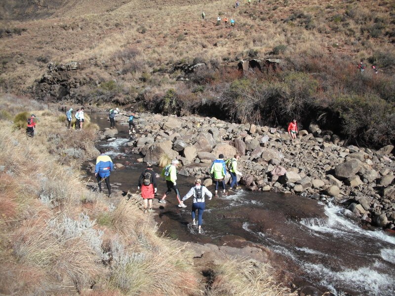 Rhodes Trail Run tweet media
