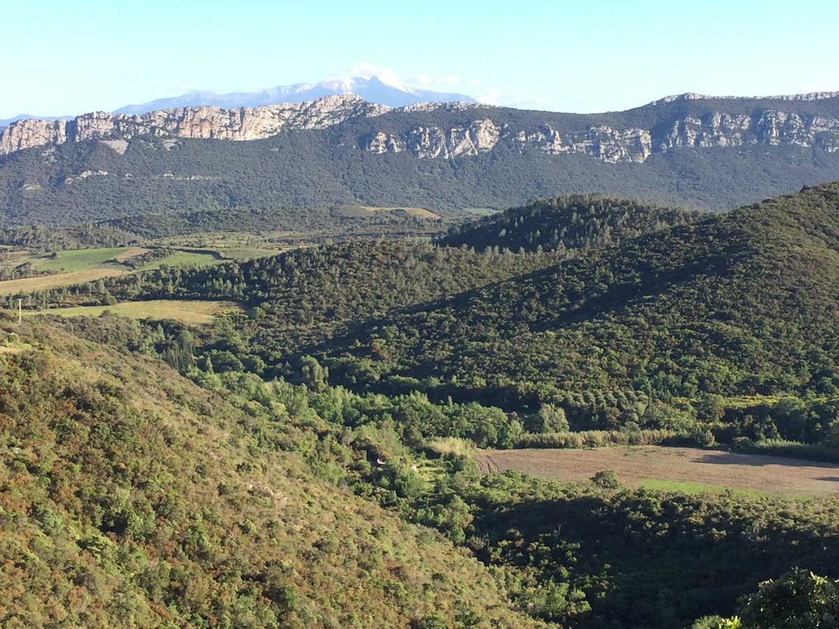 RobPennWildwood's tweet photo. On my bike in Cathar Country, s-w France. Beautiful wooded hills. Once again, I’m left wondering why the hills of Wales aren’t carpeted similarly. https://t.co/FVL0z2T0Nk
