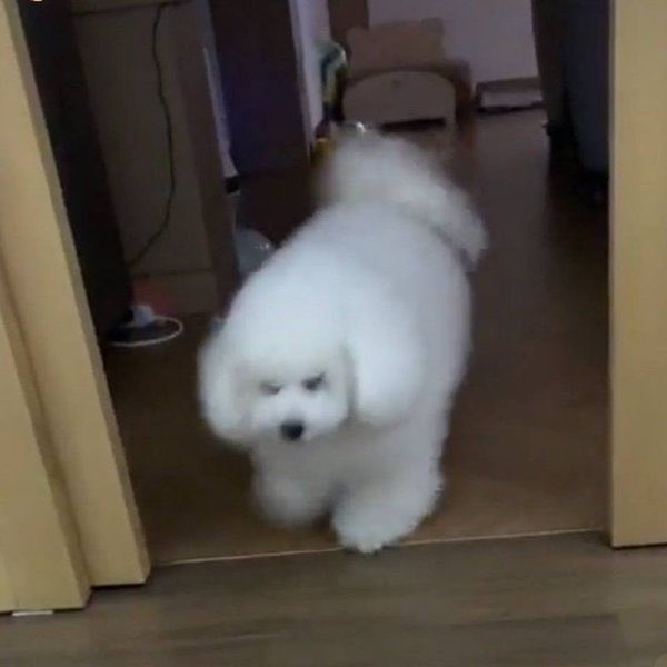 ฮลน𐬹 ⌁ ❀ ༉‧ tweet media