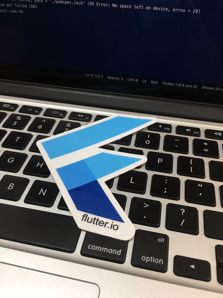 DineshKachhot's tweet image. Intense coding!!
#Hack19 #Flutter #FlutterAhm