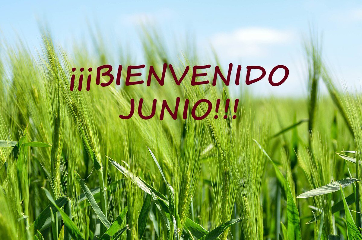 karento162's tweet photo. BIENVENIDO JUNIO! #karentospain #karento162 #karentojunio https://t.co/qnJ1nFnGQ7