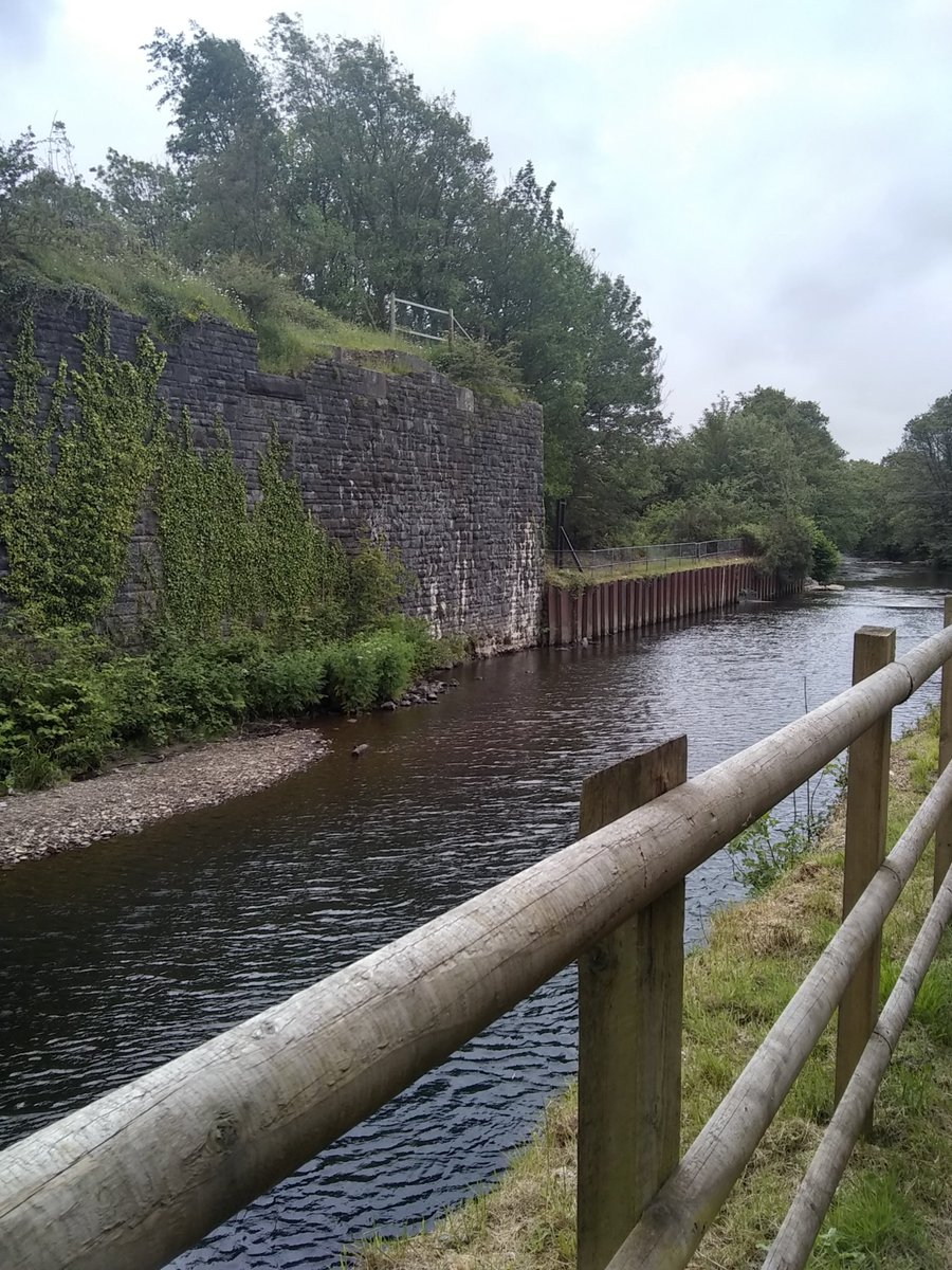 FamilyRhondda's tweet photo. Some pics from the walk yesterday #amazingday https://t.co/cqbbExg1e0