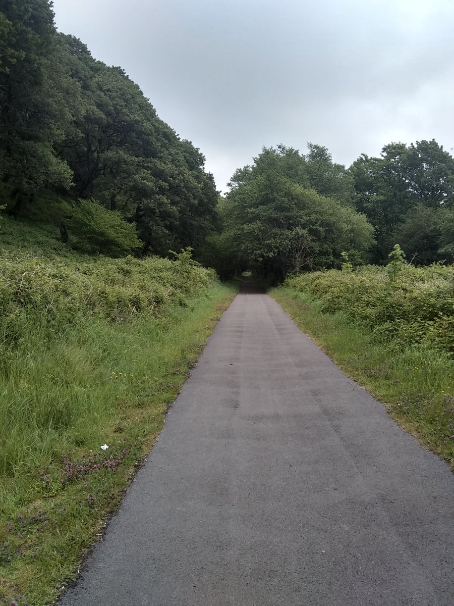 FamilyRhondda's tweet photo. Some pics from the walk yesterday #amazingday https://t.co/cqbbExg1e0