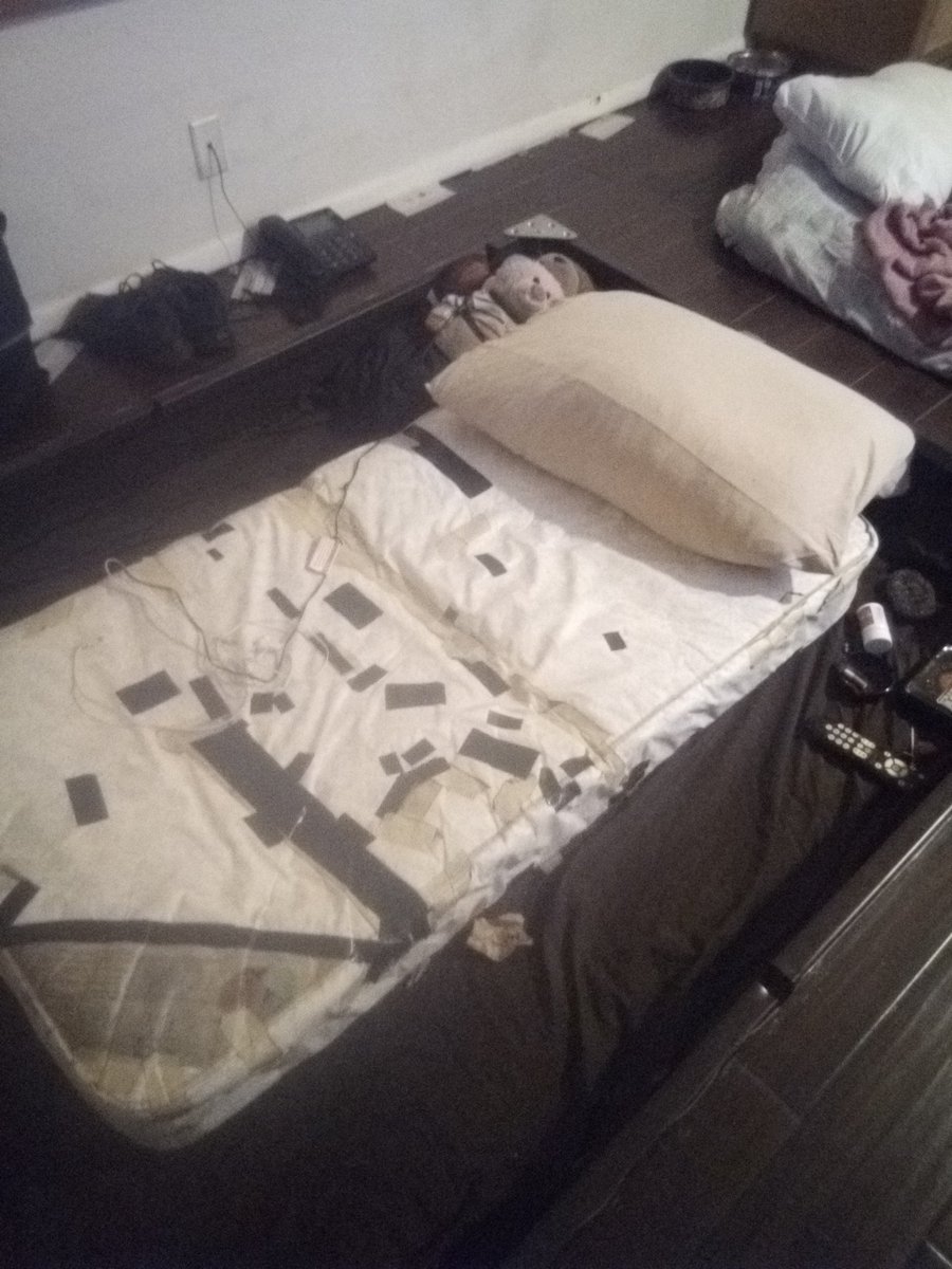 Danielpointerb1's tweet image. 