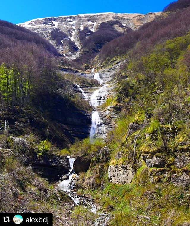 CamoscioSibilla's tweet photo. Seguici su 👉@camosciosibillini #Repost @alexbdj
・・・
La creatività dell’acqua e il rigore della roccia: ed ecco la cascata (Fabrizio Caramagna). . .
Cascata della Volpara.
Monti Della Laga.
Maggio 2019.
.
.
#abruzzo_in_grande #abruzzosegreto
#clickfor_abruzzo #clickfor… https://t.co/6JiGYZbScE