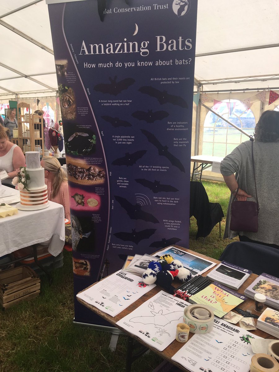 FifeBats's tweet photo. We’re at the west fife show today... come along and say hi if you’re passing! https://t.co/0fzqsOYLw8