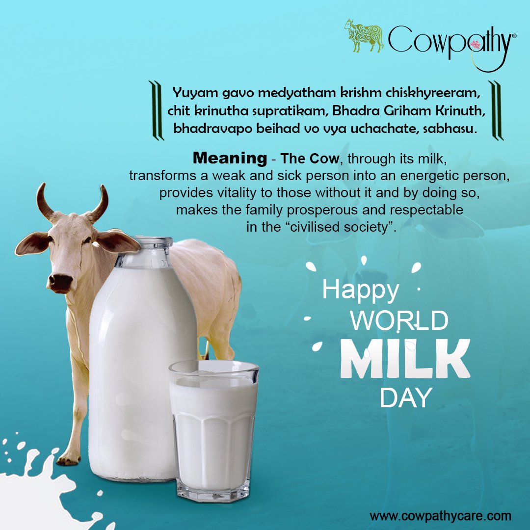 CowpathyCare_'s tweet photo. On this World Milk Day, let us praise and respect our mother cow who selflessly gives us the good health by her pure and healthy milk. Happy World Milk Day from team #Cowpathy.
#worldmilkday #worldmilkday2019 #happyworldmilkday https://t.co/szrWztlgM4