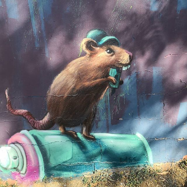 MCDorfling's tweet photo. Think I may have found a #streetart self portrait of the artist responsible for all the wonderful #graffiti around #jozi #myview https://t.co/xh0UCLZH5S https://t.co/lcXTCnU23B