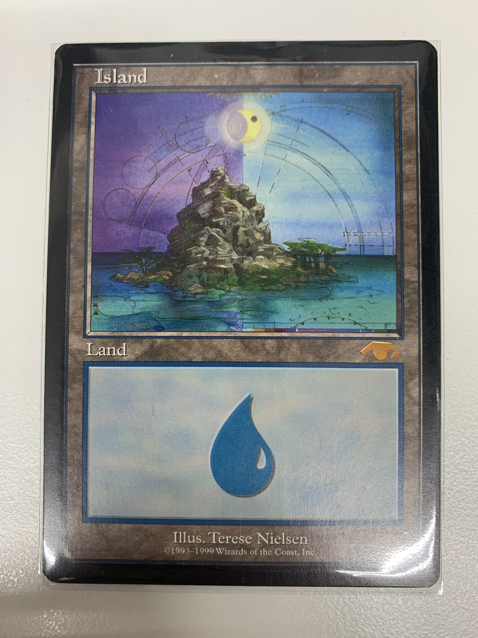 新色追加! MTG MTG 森/Forest グルランド 森 - live-forlife.com