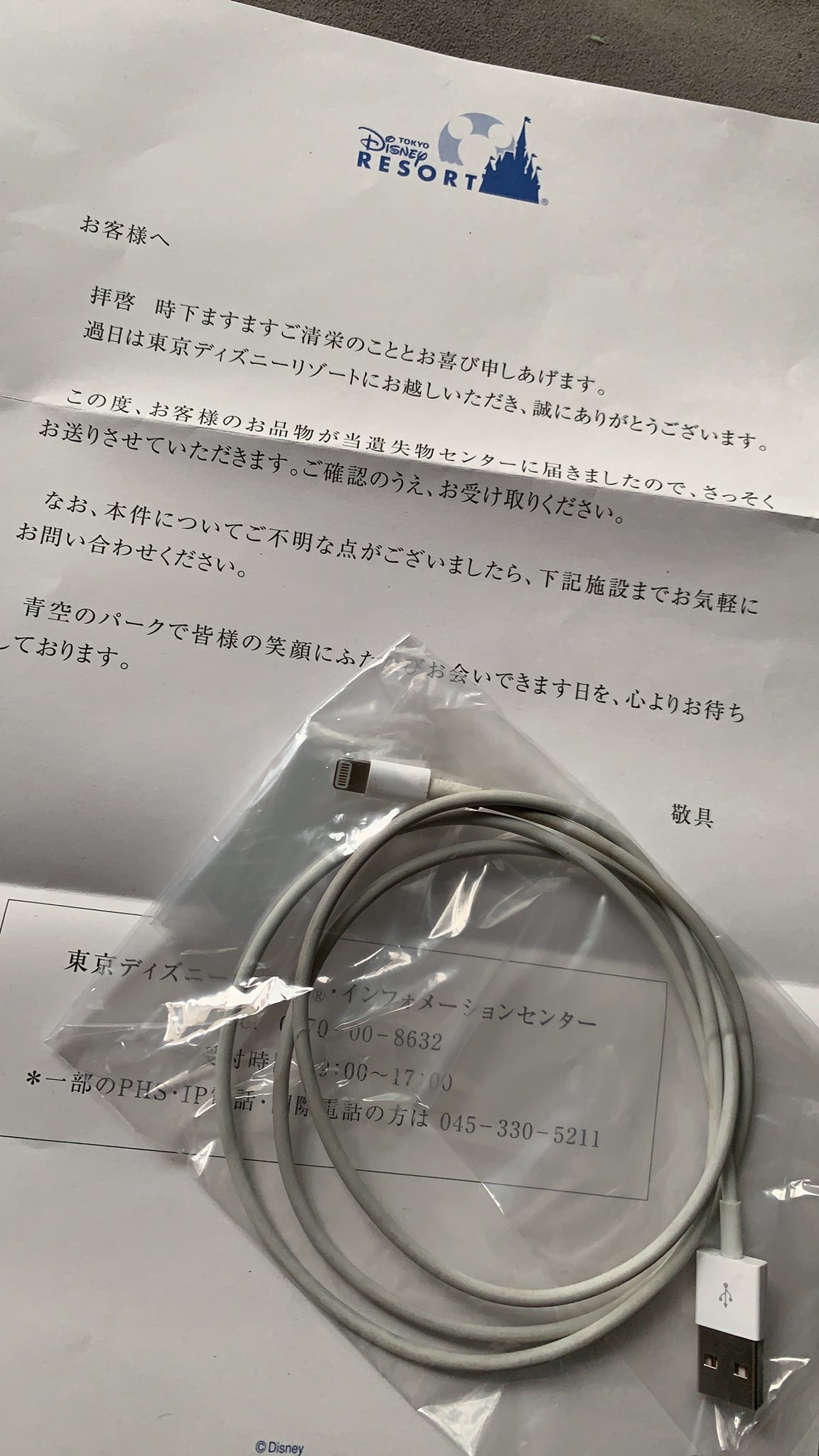 ディズニーのお問い合わせ方法 電話番号とメールは オペレーターと迅速に話すやり方 ディズニー裏マニア