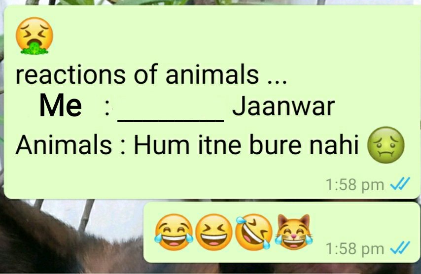 YashGola2003's tweet photo. @ddeherpuavn Are you having a friend whose name can be entered in this blank space ??? ππΉππ€£π€
.
.
.
#memesdaily #WhatsApp #chat #chatmemes https://t.co/XfuDu944a9