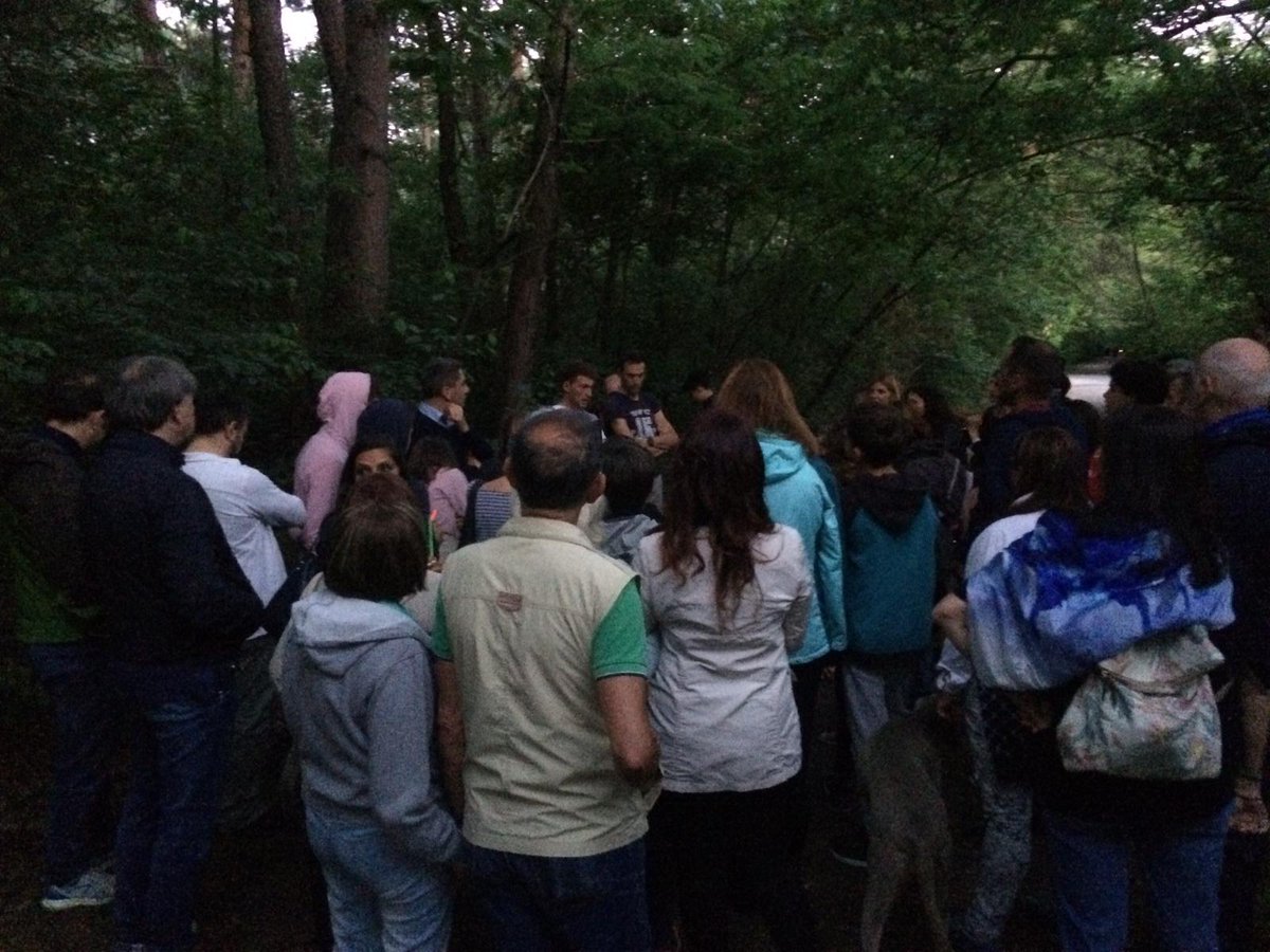 parcogroane's tweet photo. "Into the wild" nella Pineta di Cesate ieri sera per il secondo atto di Woodland assieme a @bibliocesate per un evento che ha attirato almeno 200 persone di tutte le età. Con la sorpresa finale delle farfalle luminose... https://t.co/s3cznBkZpC