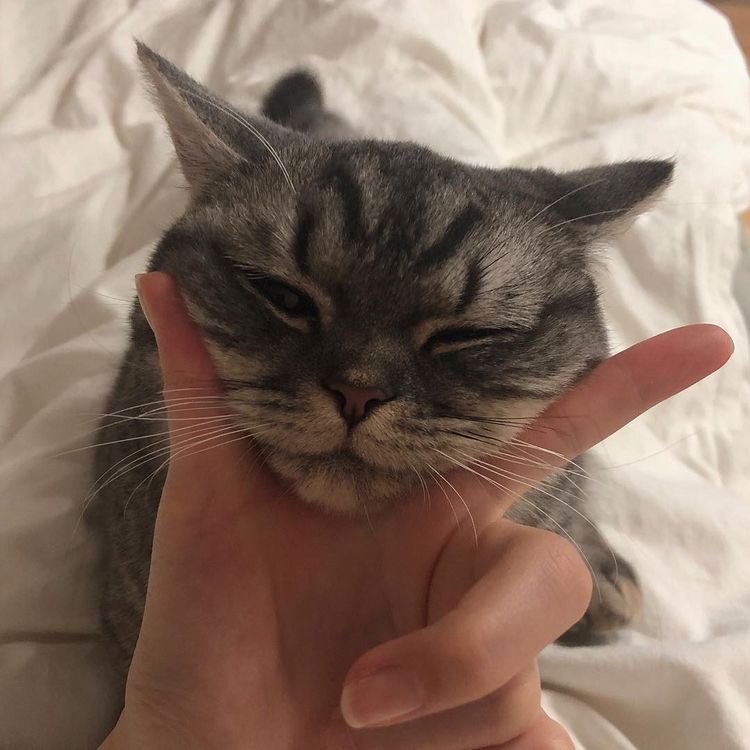 kun tweet media